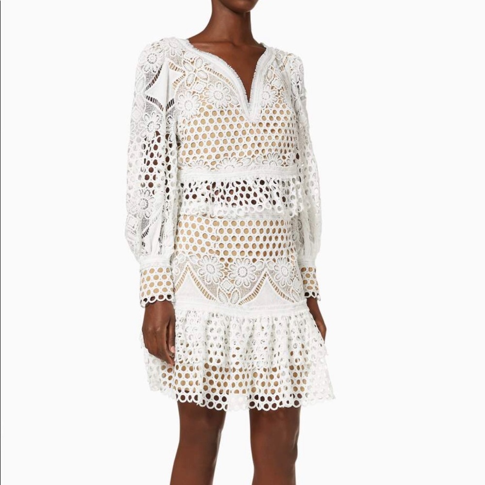 Elliatt White Crochet Lace Long Sleeve Mini Dress